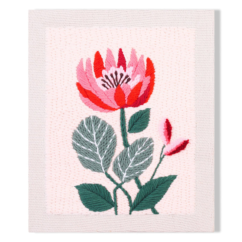 Blooming Red Protea