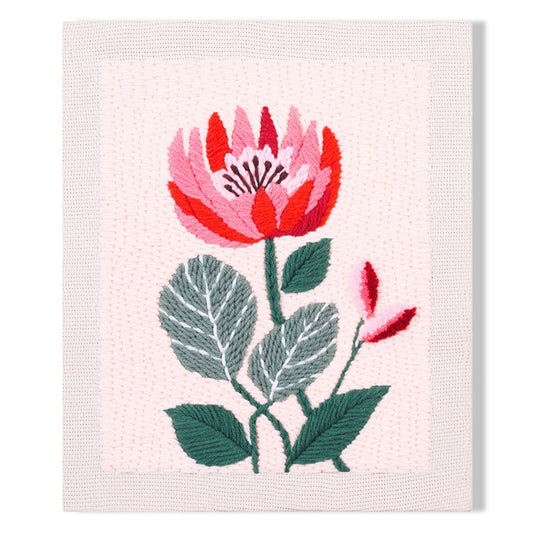 Blooming Red Protea
