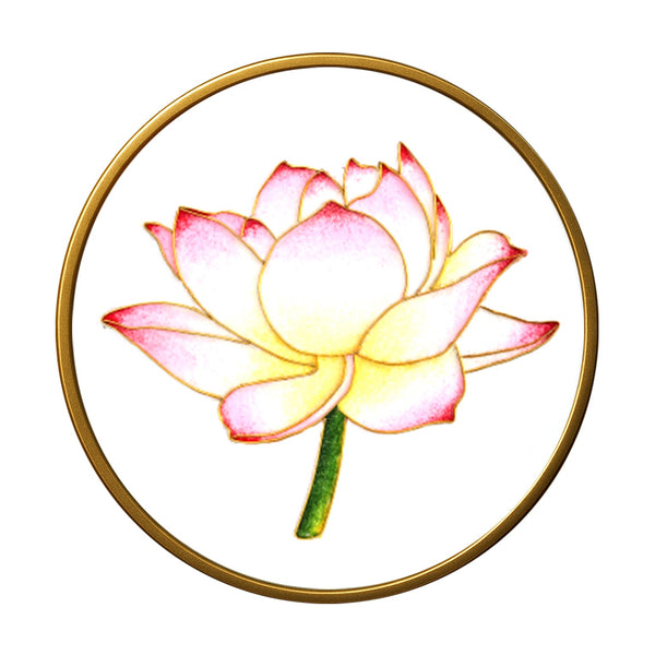 Reiner Lotus - Cloisonné Kit